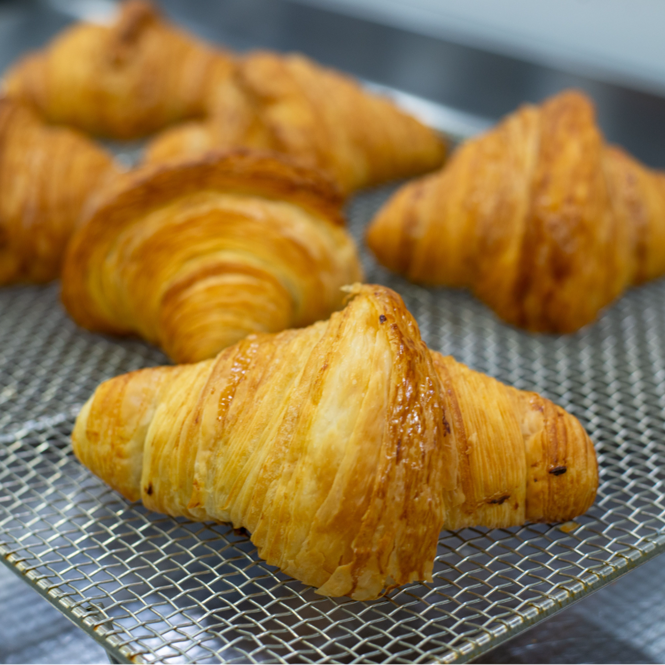 Golden Butter Croissant