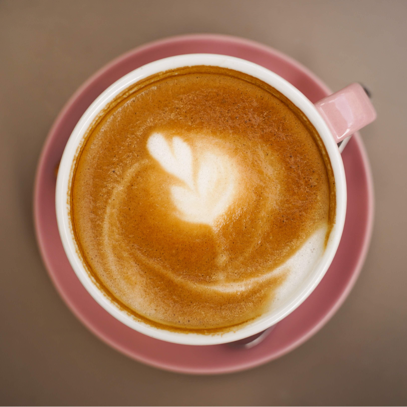 Wild Lavender Honey Oat Latte