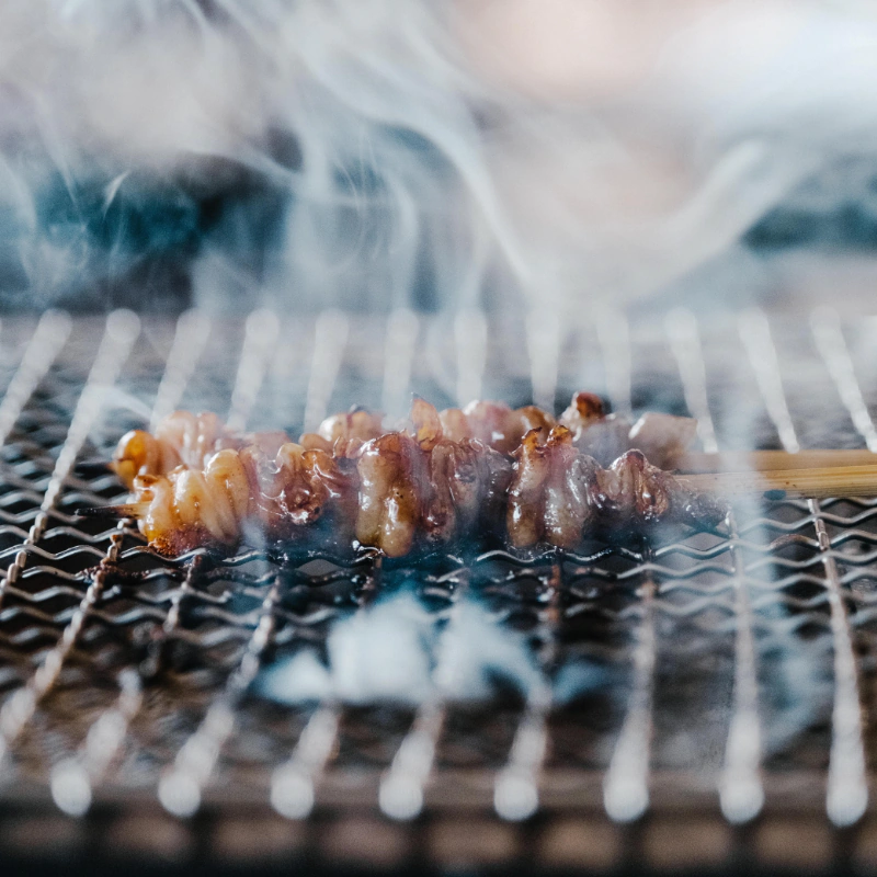 Binchotan Yakitori Skewer Trio